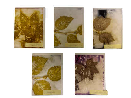 Eco Print Card