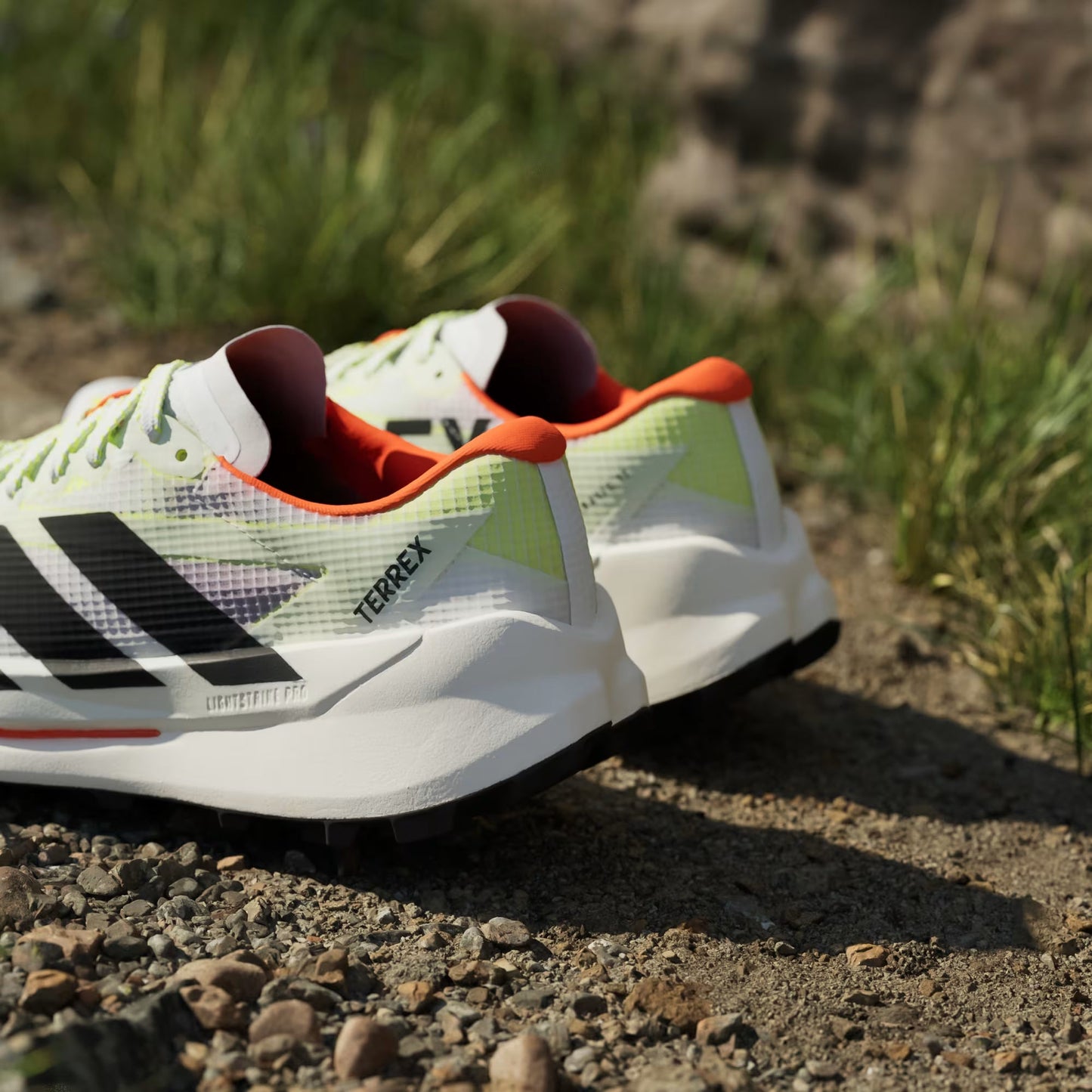 Adidas Women's Terrex Agravic TT Trail Running Shoes