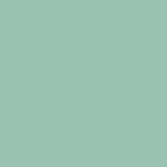 12" Eucalyptus - EasyWeed EcoStretch HTV